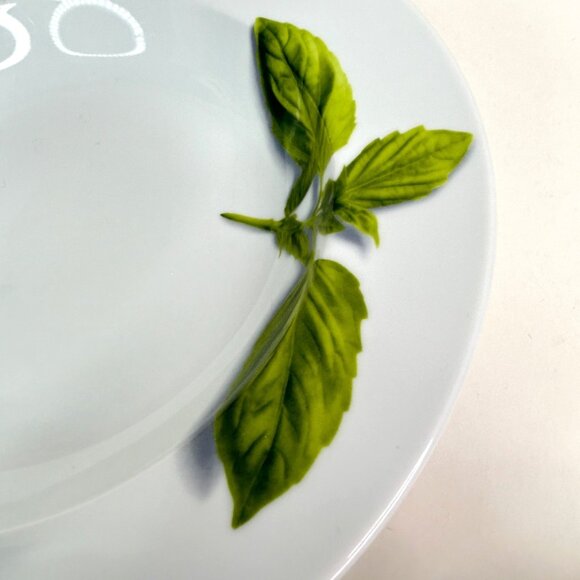 Crate & Barrel Herb Motif Porcelain Dinner Plates Set Of 2 - Picture 6 of 9